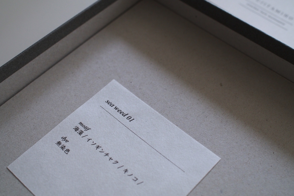 FUJITAMIHO 標本BOX  -From Sea-